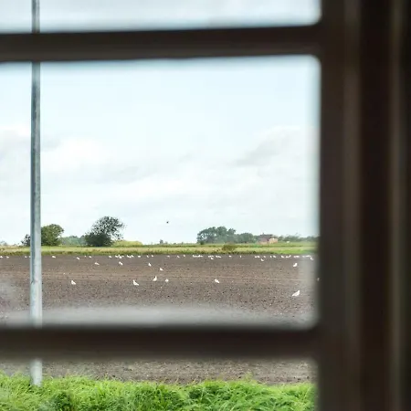 Haralde In Western Jutland By Interhome Holiday home